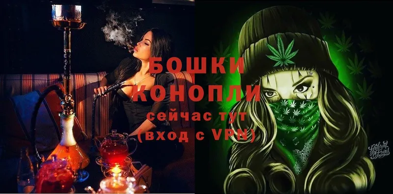 магазин продажи наркотиков  МЕГА ссылка  Канабис White Widow  Апатиты 